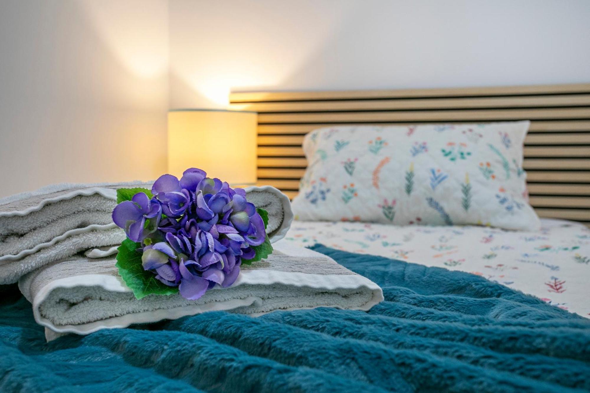 Casa Da Belinha Apartment Ponta Delgada (Sao Miguel)